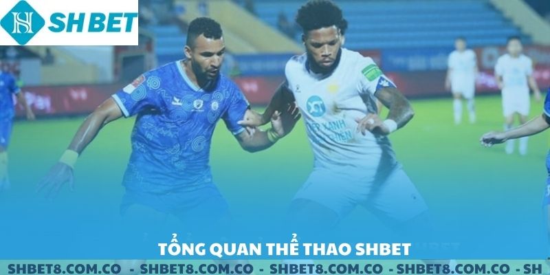 Tổng quan về sảnh thể thao SHBET.