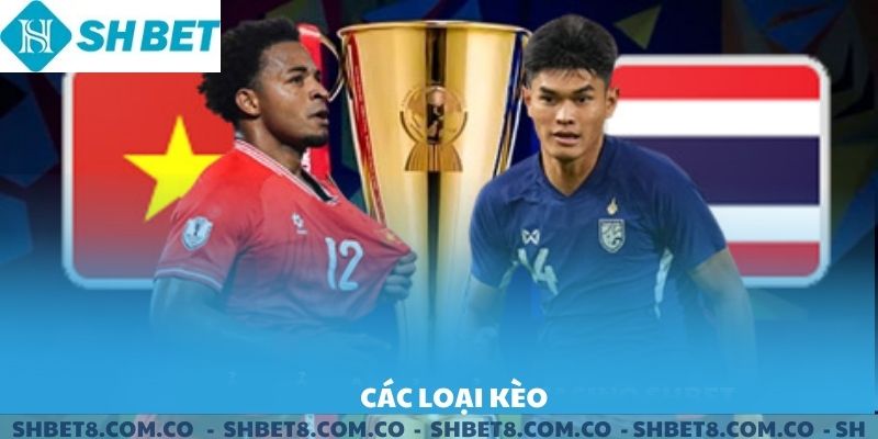 Các loại Kèo Châu Á phổ biến.