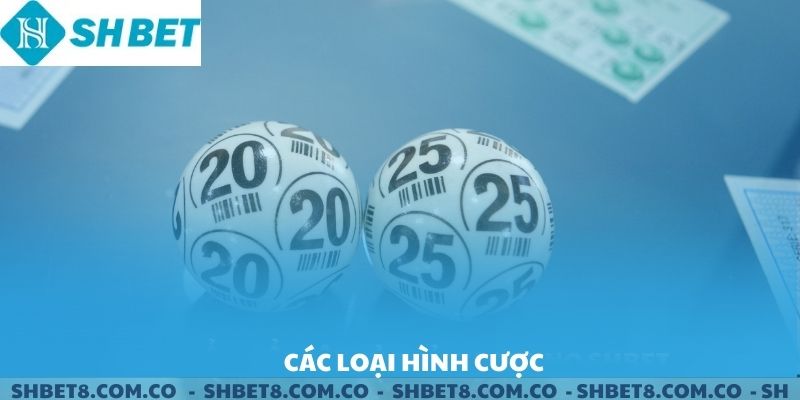 Các loại hình cược của xổ số siêu tốc SHBET.