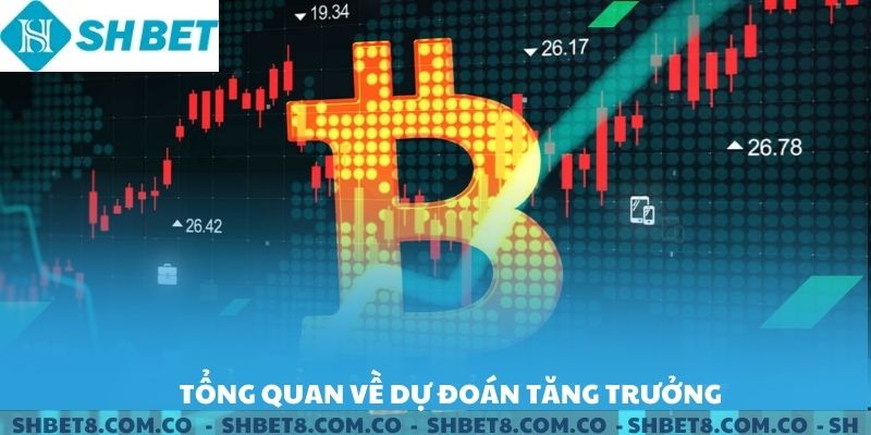 Tổng quan về chương trình khuyến mãi dự đoán tăng trưởng.